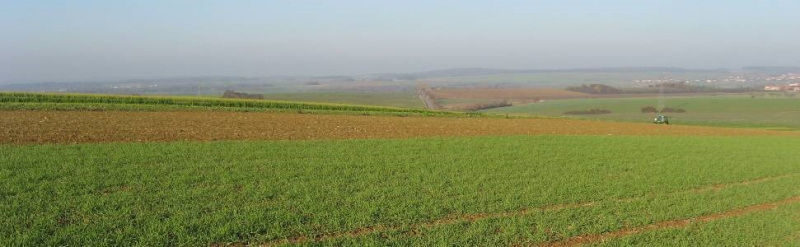 Plateforme Ecophyto 2018 à Haroué (appartenant au réseau EXPE lorrain)