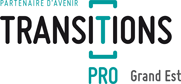 Logo Transitions Pro